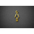 Kleedkamer of Toilet pictogrammen - Vrouw 3D - Divergent - Goud - hoogwaardig Acryl bord