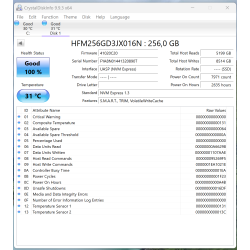 SK hynix BC711 256 GB SSD – M.2 2280 NVMe PCIe 3.0 x4