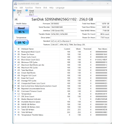 SanDisk X600 256 GB SSD – M.2 2280 SATA III