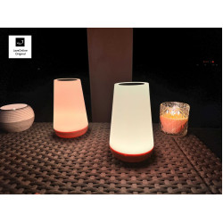 Sfeerlamp -- sfeerlicht - tafellamp - nachtlampje met ingebouwde batterij - Wit of RGB kleuren