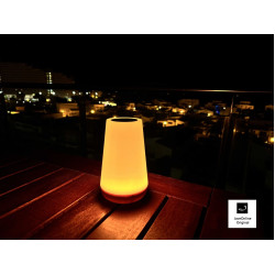 Sfeerlamp -- sfeerlicht - tafellamp - nachtlampje met ingebouwde batterij - Wit of RGB kleuren