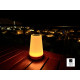 Sfeerlamp -- sfeerlicht - tafellamp - nachtlampje met ingebouwde batterij - Wit of RGB kleuren